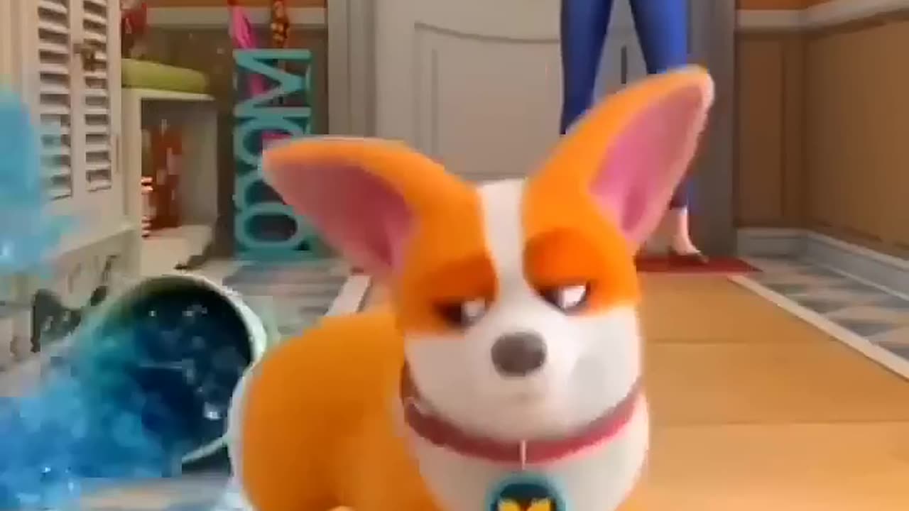 Moco funny video