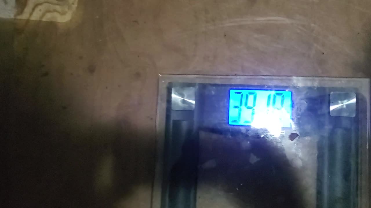 Weigh-In Dec 8, 2023