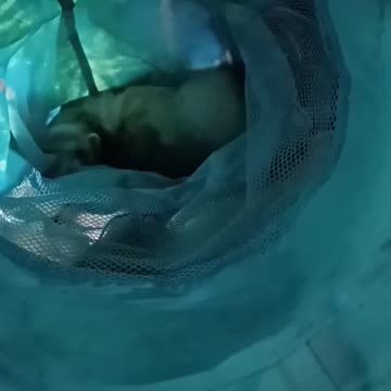 Found an old new tunnel and it was fun!!