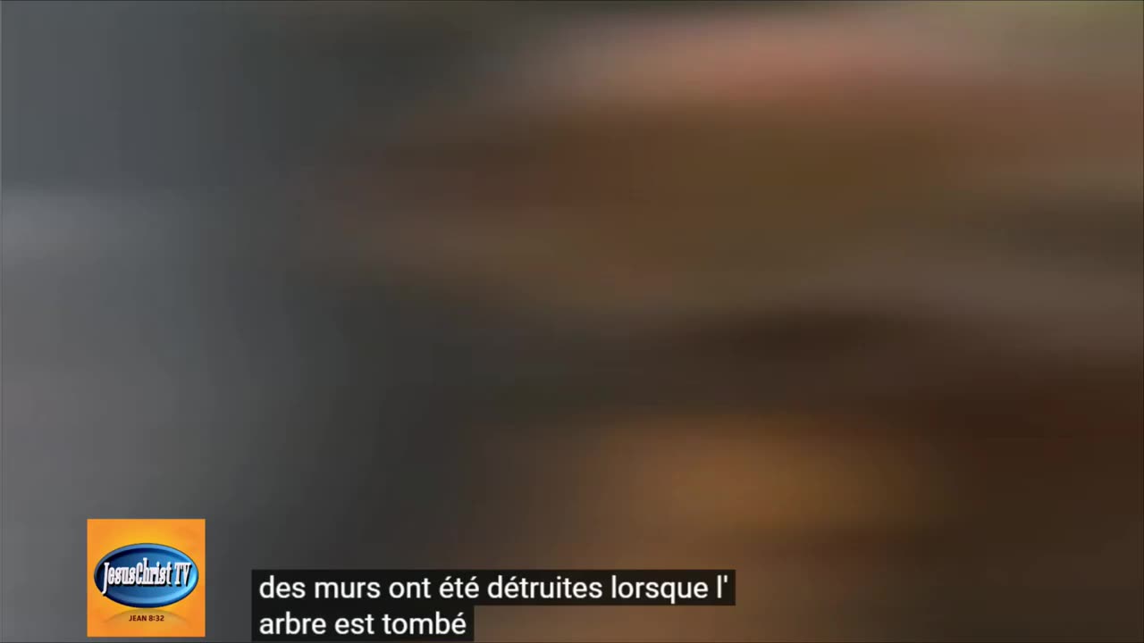 Un bébé échappe de justesse à la mort suite à l'effondrement d’un gros arbre