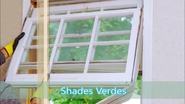 Shades Verdes - (310) 558-2329