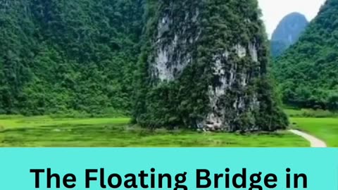 The Floating Bridge in China😲😆