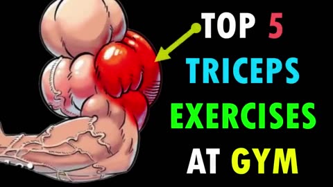 5 Best Biceps triceps