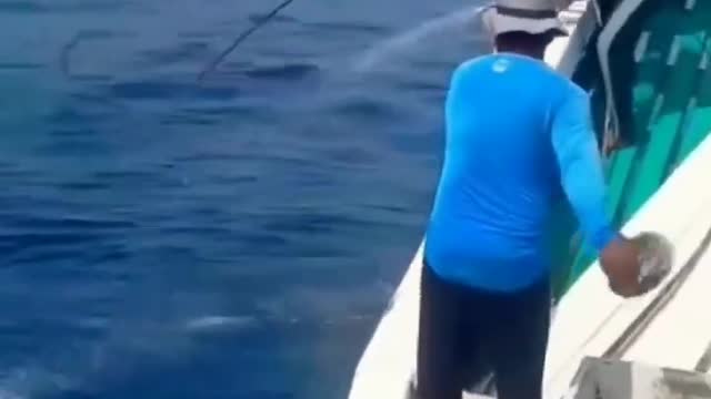 Catch a Tuna On Strong Stick