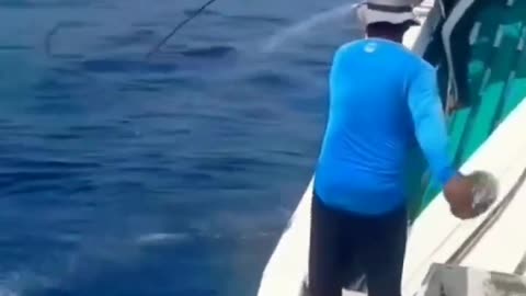 Catch a Tuna On Strong Stick