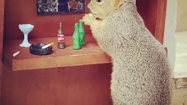 Cheers! 😊 Sound on 🎥 IG: agneslb