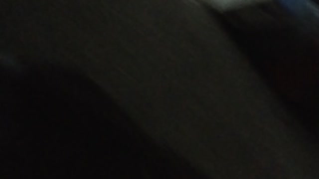 Donny's World Puppymorph New Trailer