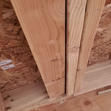 Who could have screwed up this badly