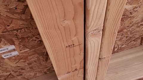 Who could have screwed up this badly