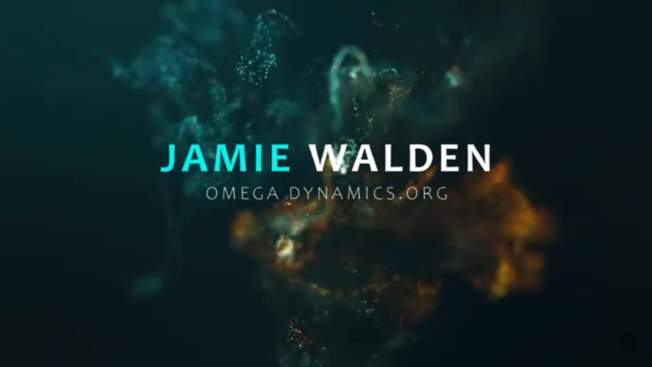 JAMIE WALDEN - SURVIVAL PLAN FOR THE COMING CRISIS