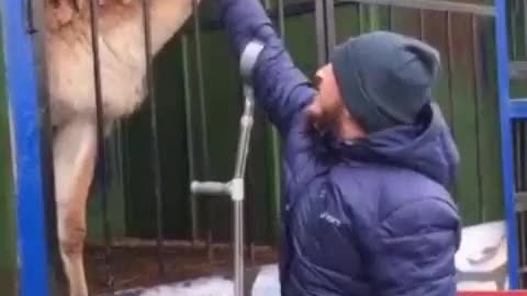 Feeding Animal