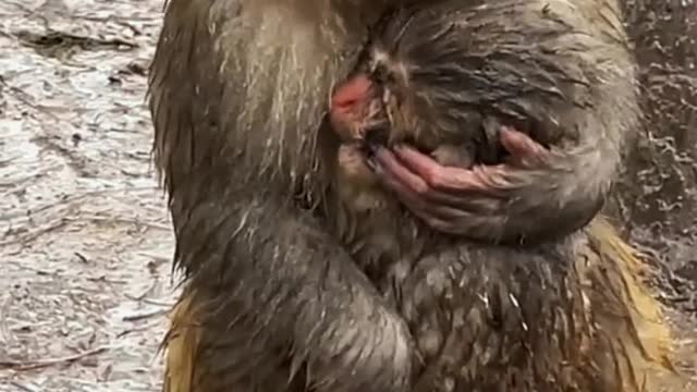 A loving mother