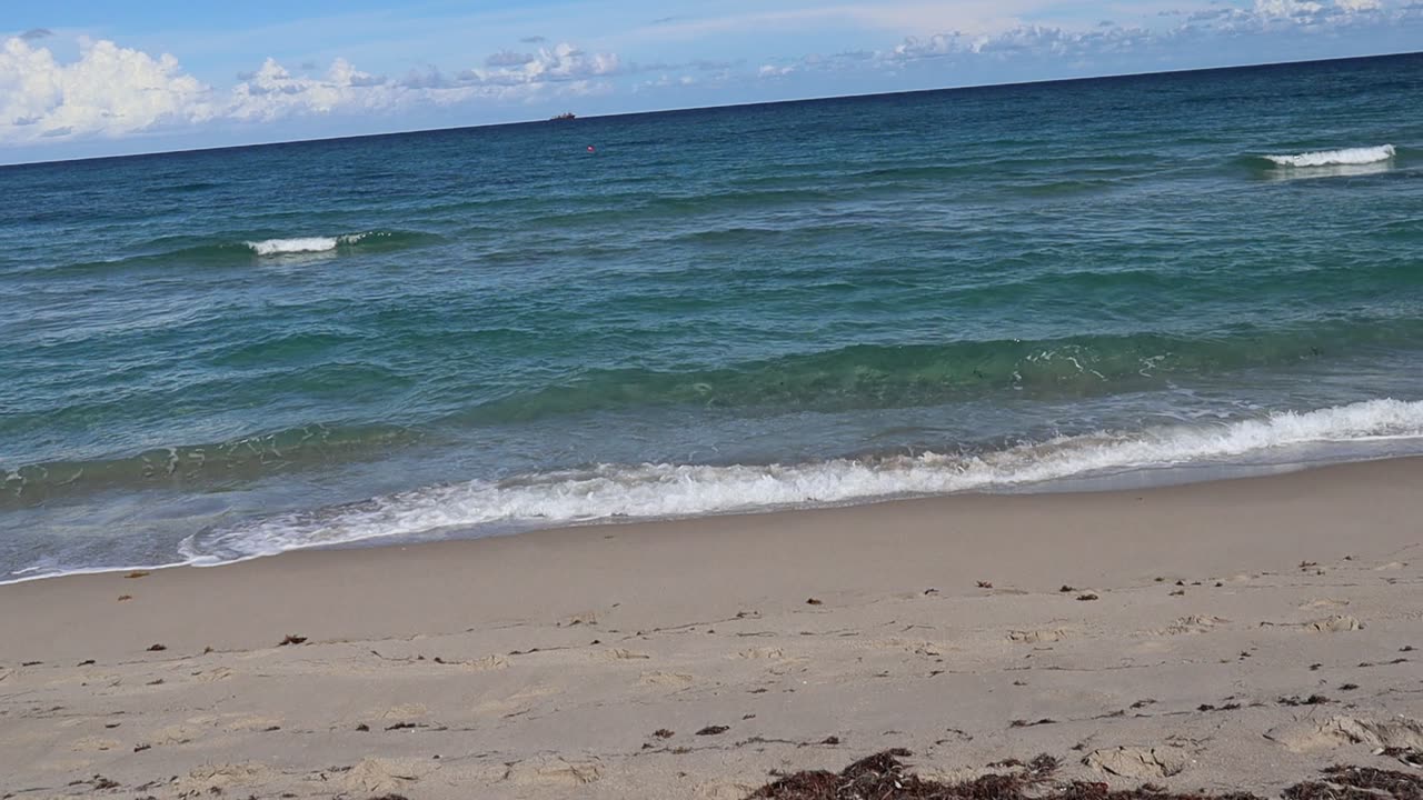 Singer Island, Florida 9/20/2023 Part 2