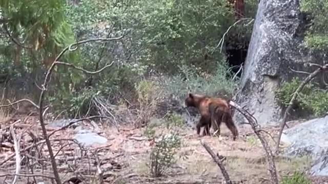 Most Underrated NationalPark in CA