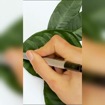 Art and Craft 5 Minutes DIY Bunny Carft Video