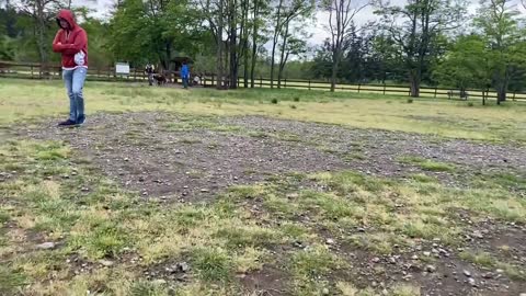 German Shepherd Attacks Pitbull OFF LEASH DOG PARK
