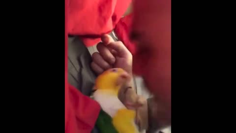 Cute and funny animals video 7