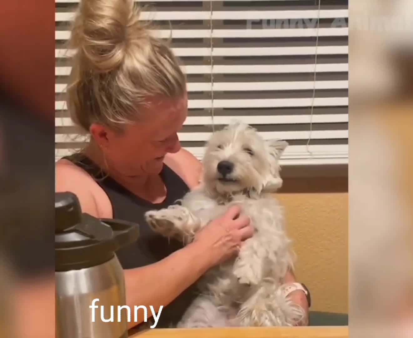 Funny dog real laugh