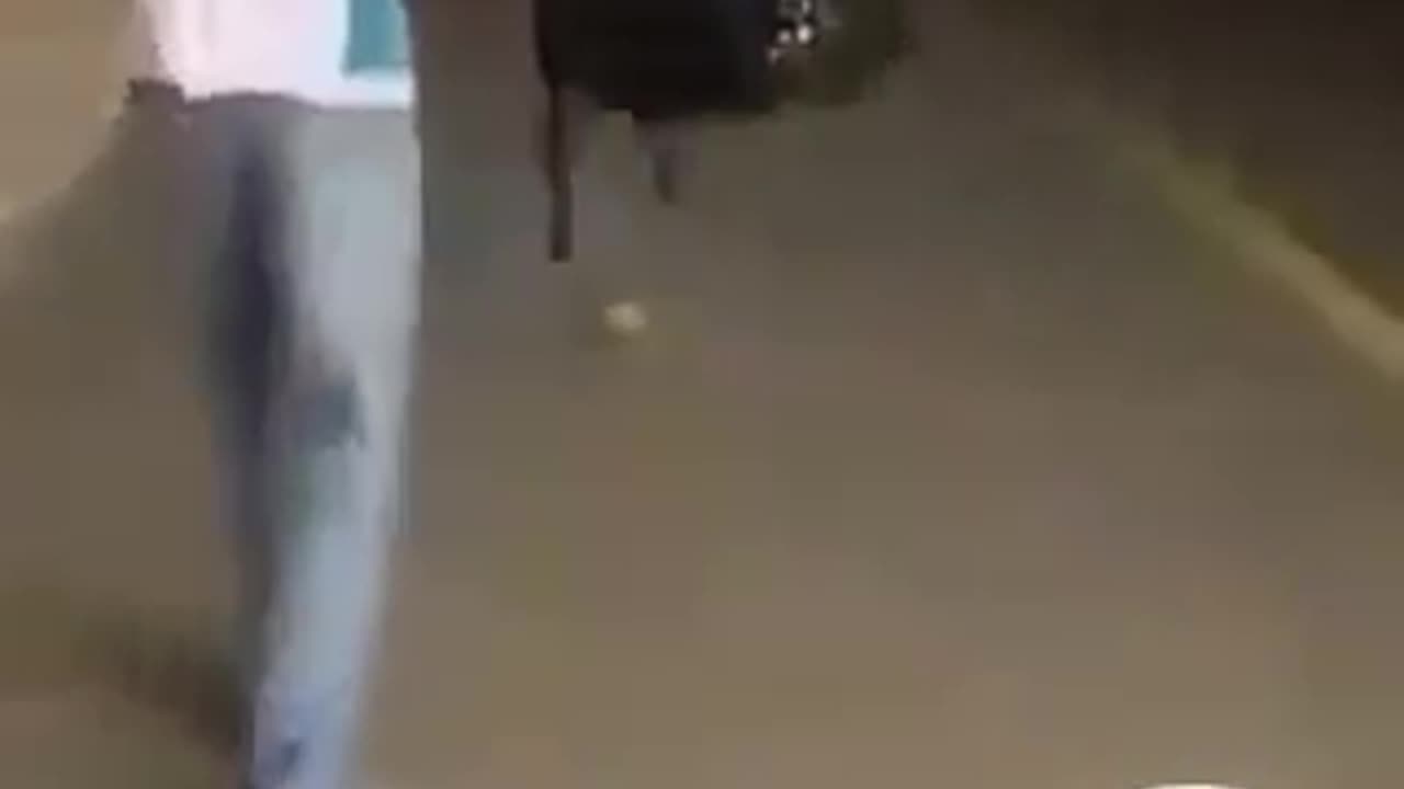 Israeli soldiers (IDF) shoot a Palestinian student in the back.