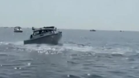 Video catches whale landing on boat near Massachusetts