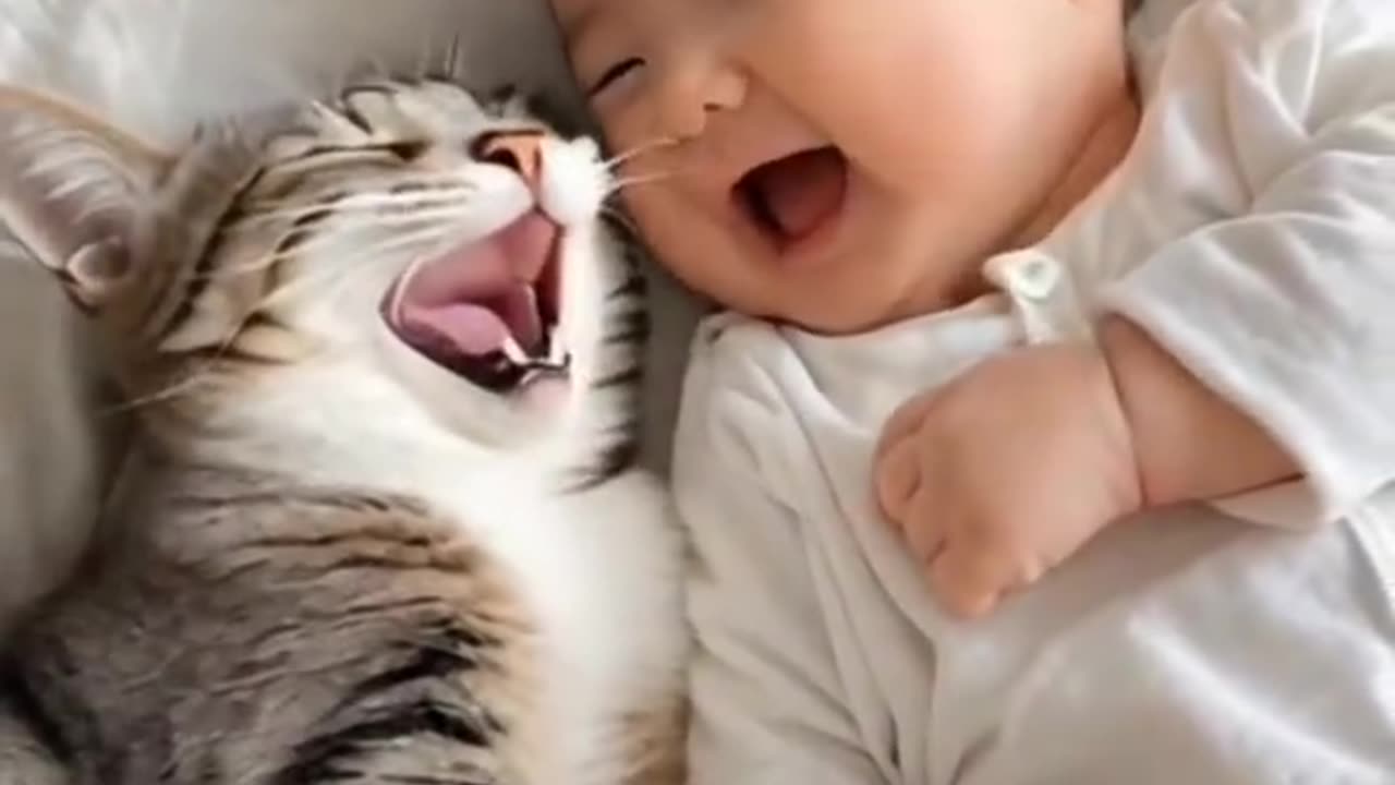 cat and baby