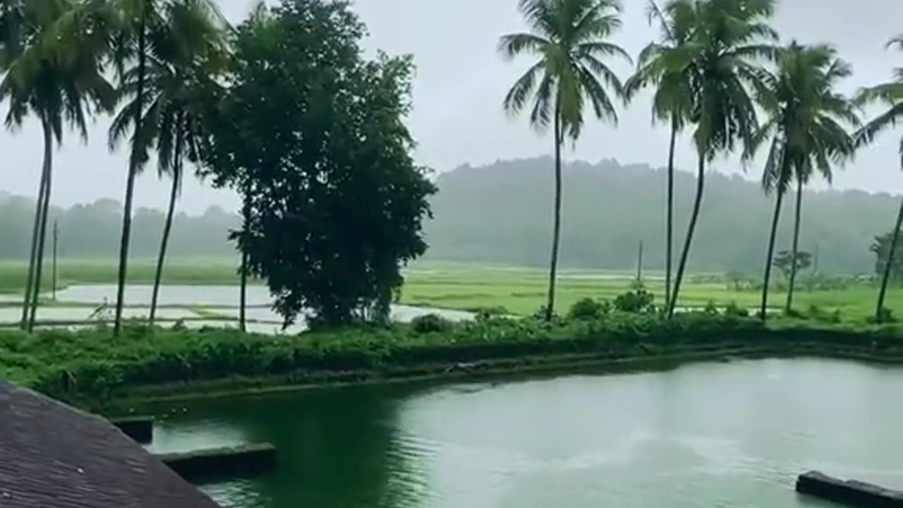 Playing water in rain