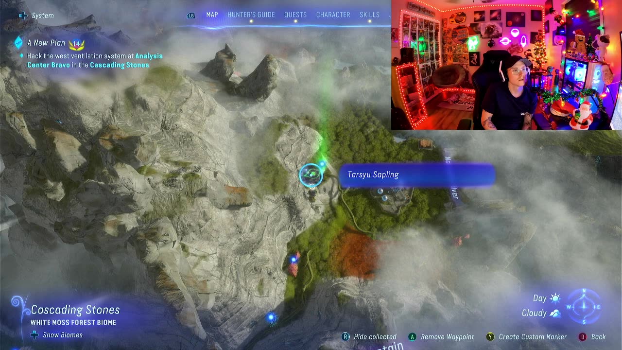 Come hang out!
