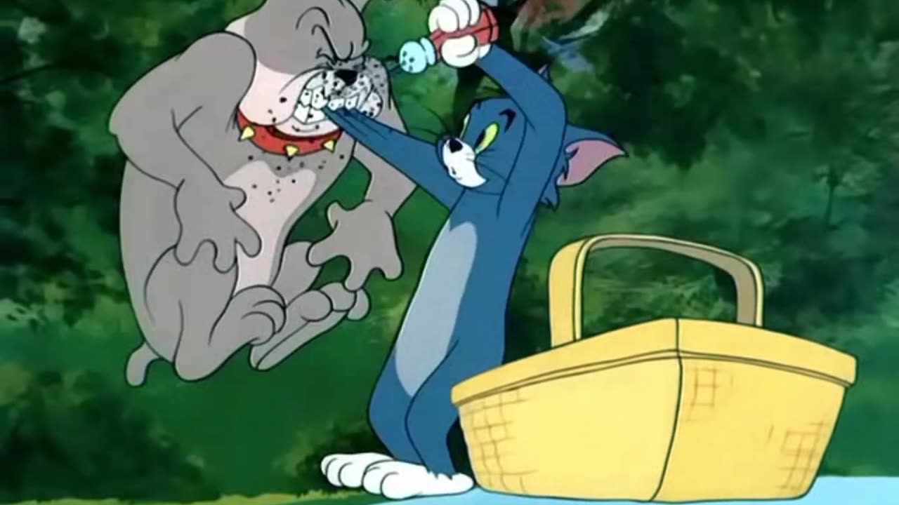 Tom&Jerry Episode Pup On A Picnic Full Watch.(Cartoon World)