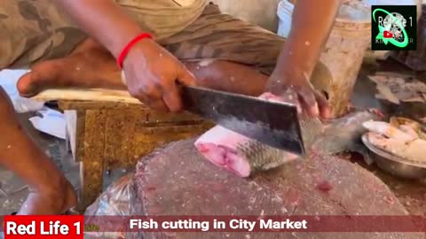 Fish cutting