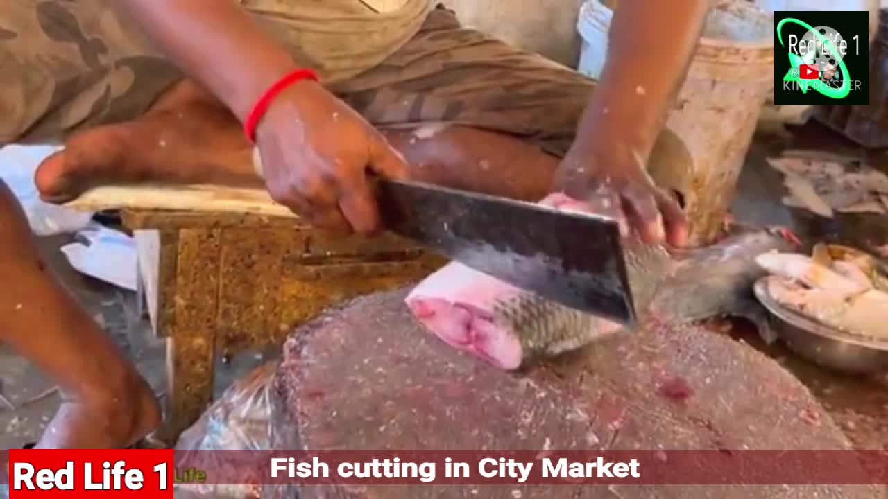 Fish cutting