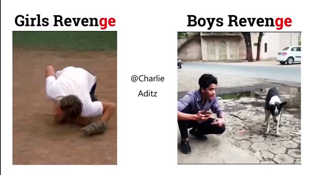 Normal Revenge Vs Legend Revenge #viralmemes #girlvsboy