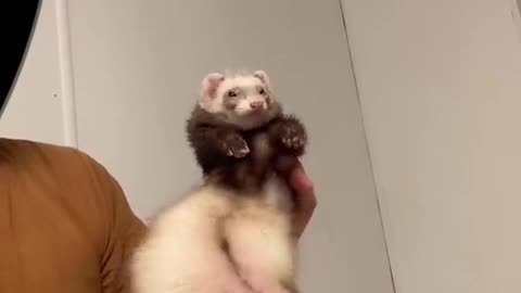 This is for my Spanish friends ❤️