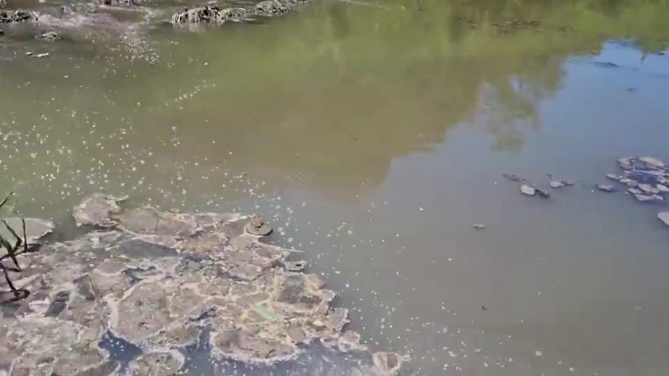 SHIT REALTIME flowing into Umgeni River KZN!!