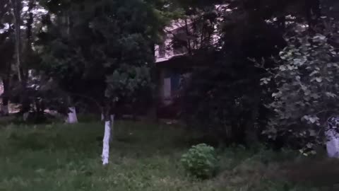 lawn in the evening