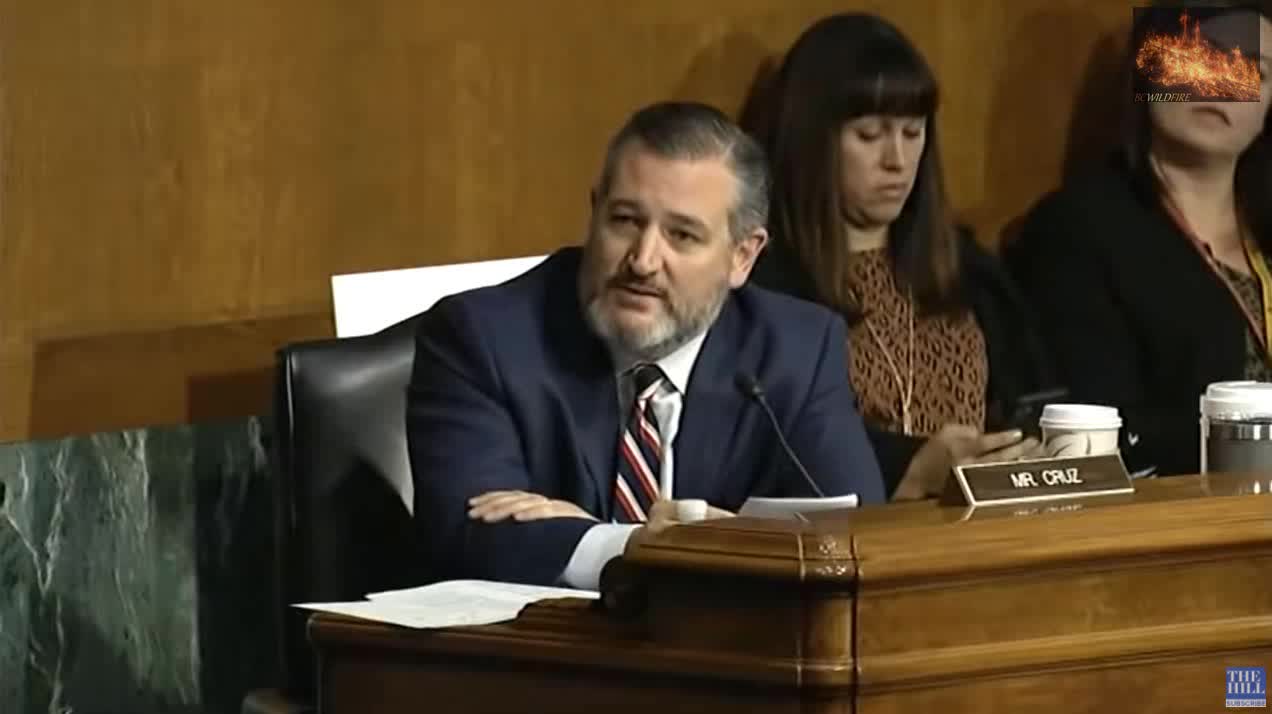 Ted Cruz Slams Mayorkas on Biden Cages