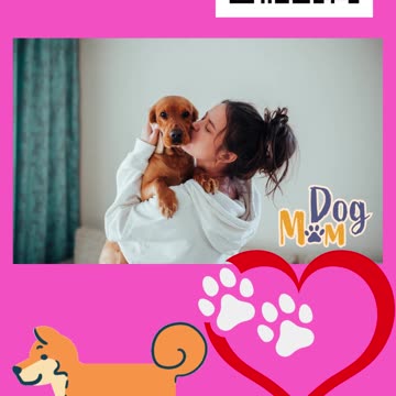 Dog Training Easy Program System #short Video