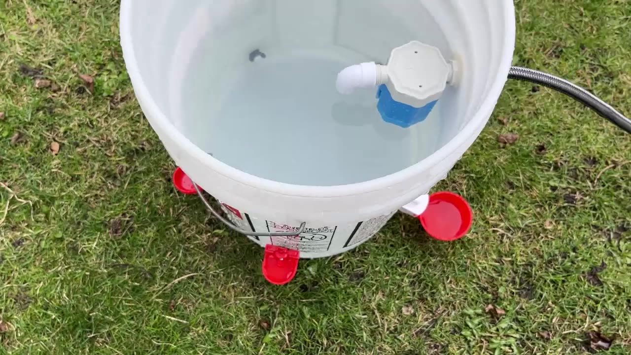 BirBlue Automatic Chicken Waterer