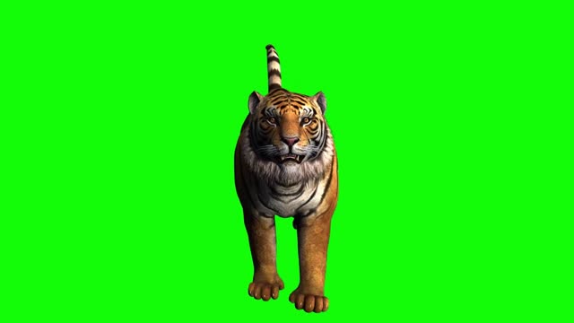 running composite animal tiger