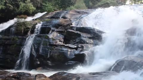 Water Fall Forest View