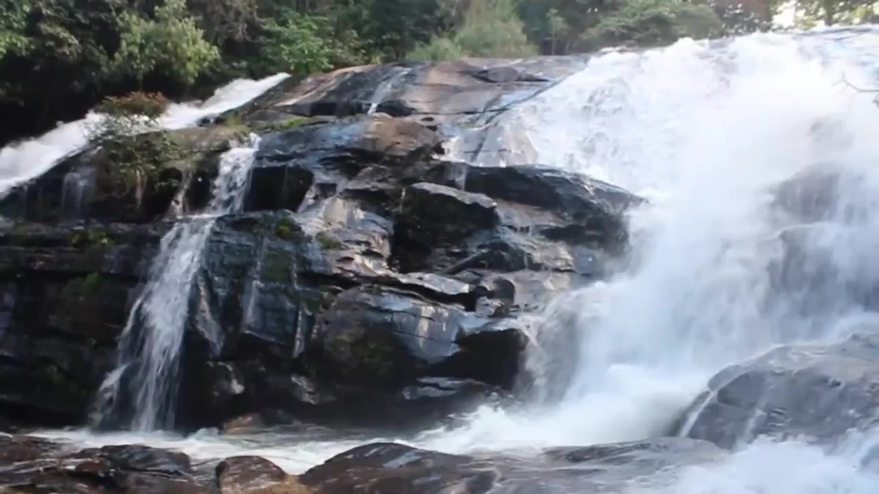 Water Fall Forest View