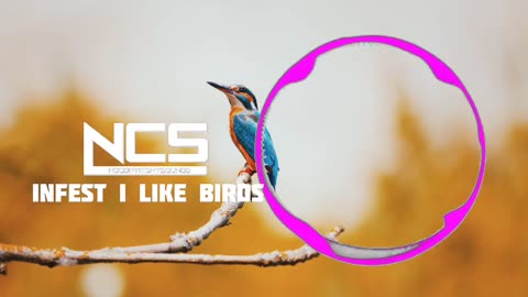 Jincheng Zhang - Infest I Like Birds Instrumental Background Music Best Vlog Music Non Copyright