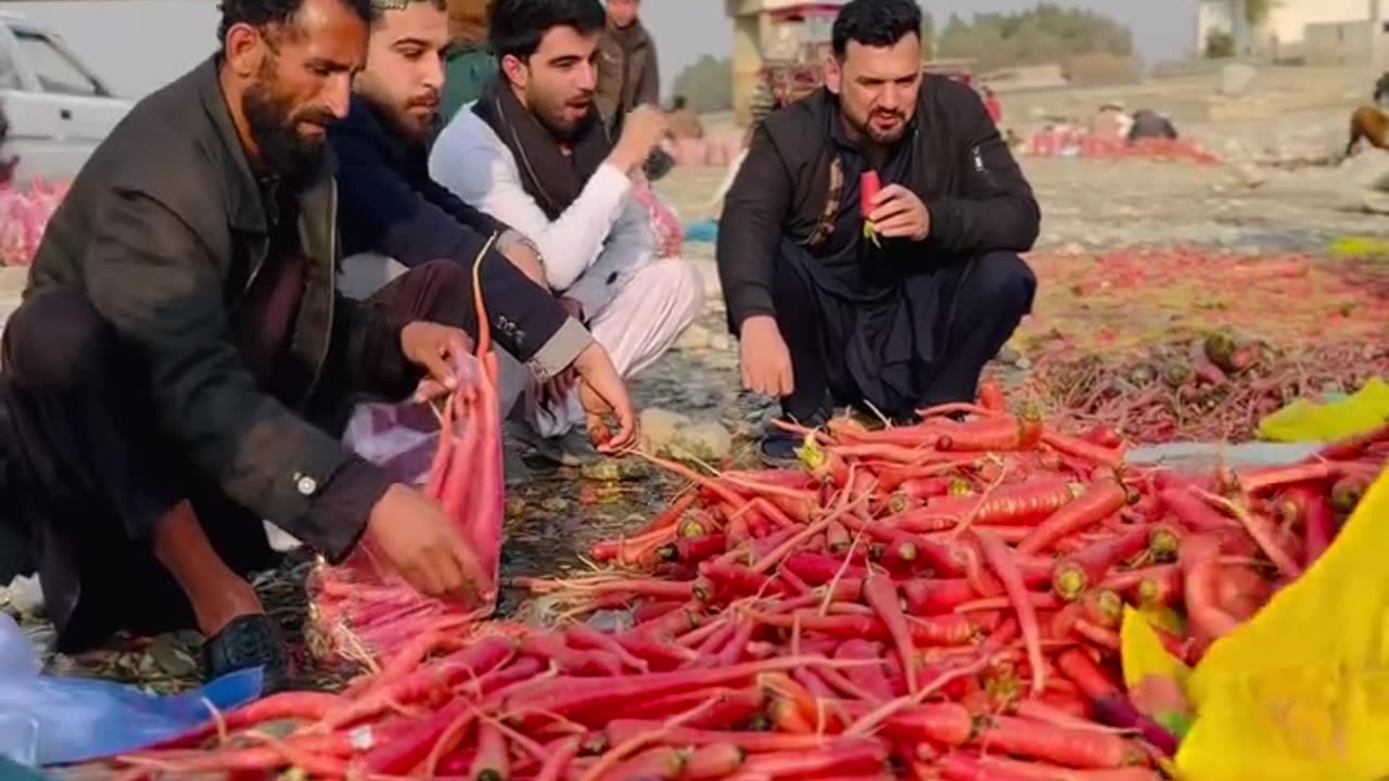 Village life in Afghanistan | Street food | Carrot | Fish fry