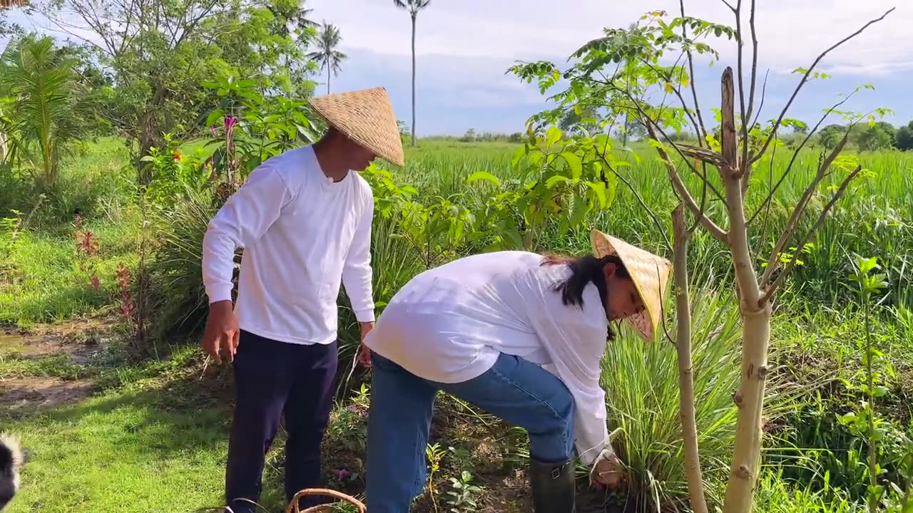 Harvesting farm produce with Alex Gonzaga I Behind the scenes