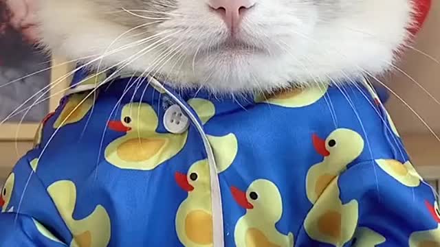 Help help we need help!!! What exactly went wrong!