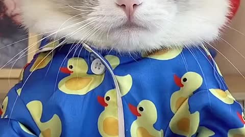 Help help we need help!!! What exactly went wrong!