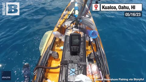 JAWS! Massive Tiger Shark BITES KAYAK Off Hawaiian Coast