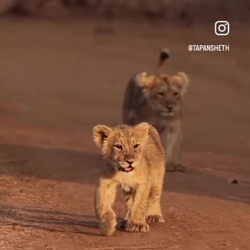 Cuteness overload 😍