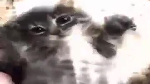 honey just the two of us