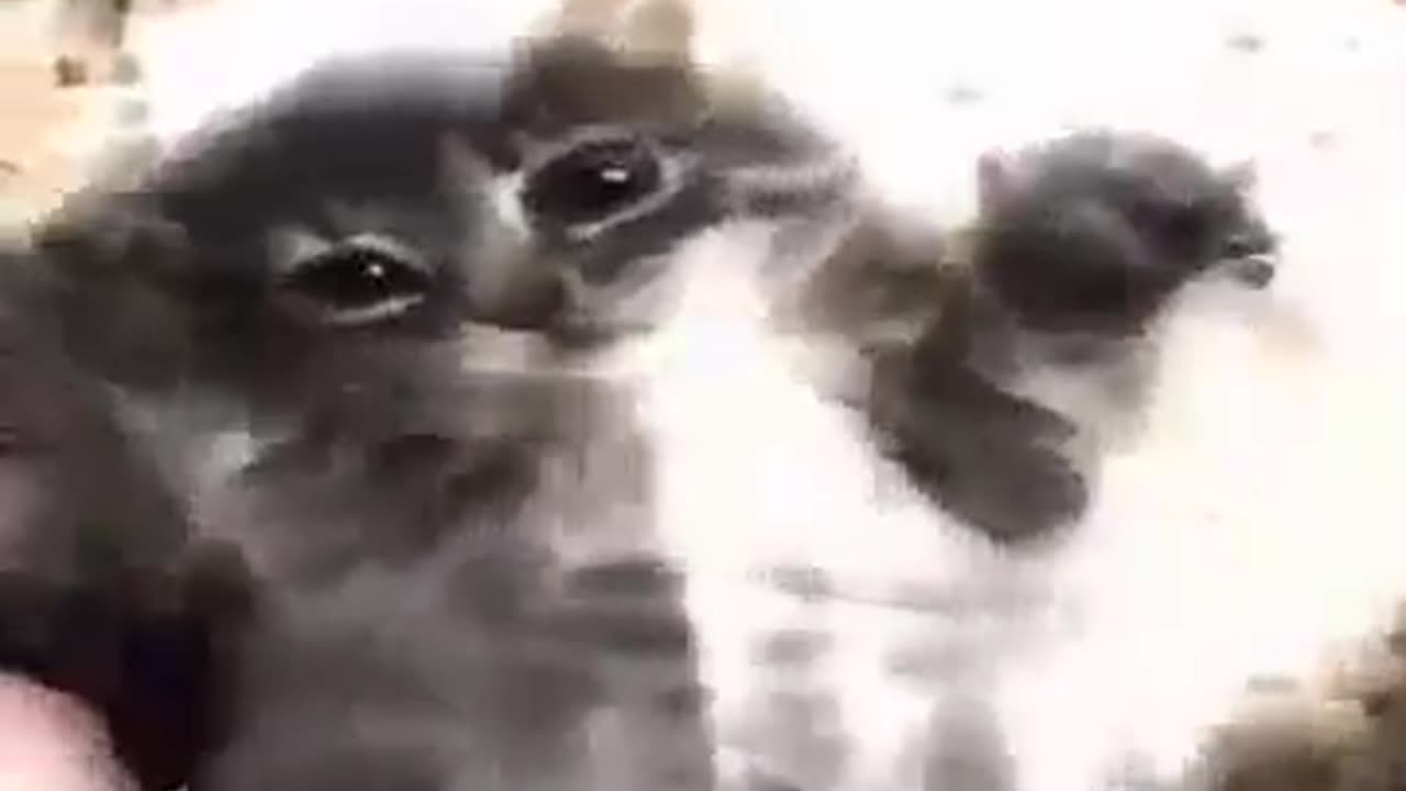 honey just the two of us