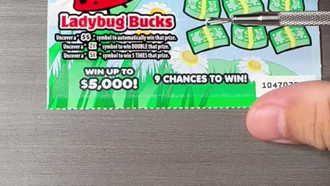3 Ladybucks tickets